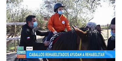Fundación de Equinoterapia Ángeles a Caballo